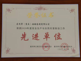 2020年度安全生产与自然灾害防治工作先进单位